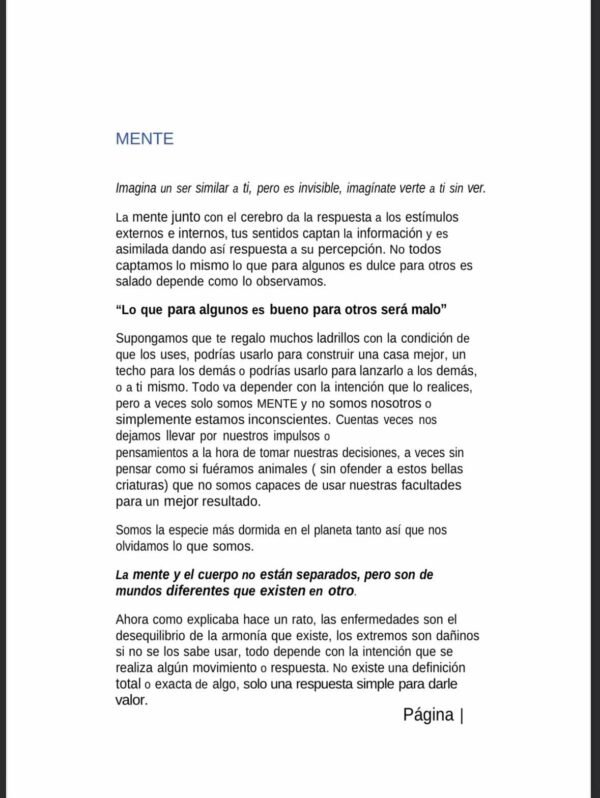 LOS 3 ESTADOS - Image 3